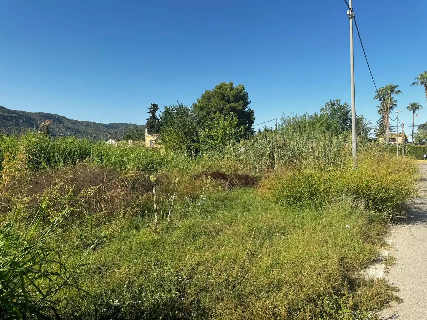 Terrenys i solars en venda a Pedanías Este, imagen 4