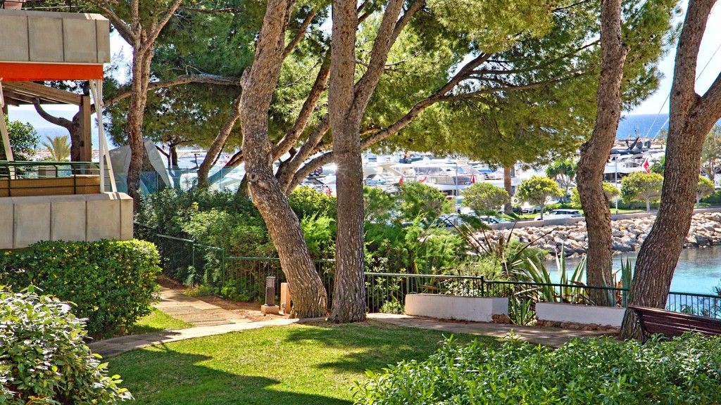 Jardí de Apartament de lloguer en Calvià amb Aire condicionat, Terrassa i Traster
