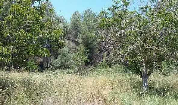 Terreno en venta en L'Orxa / Lorcha