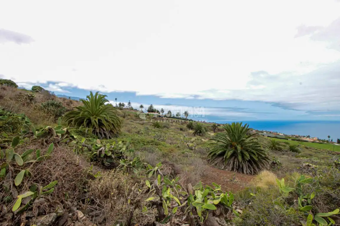 Terreno en venta en El Pris - Juan Fernández