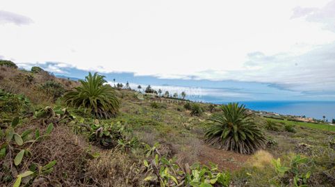 Foto 5 de Terreno en venta en El Pris - Juan Fernández, Tacoronte