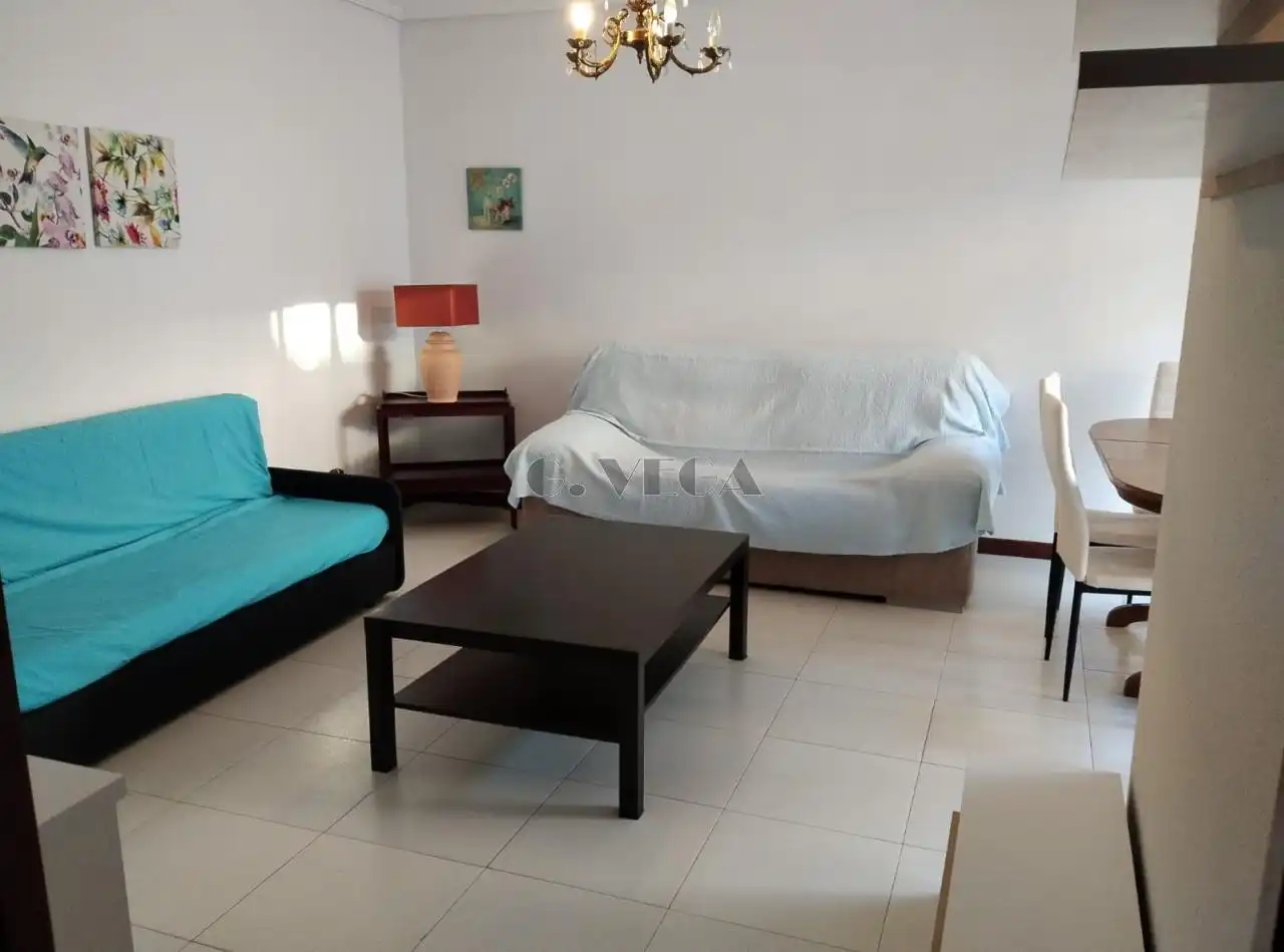 Sala de estar de Piso de alquiler en Sanxenxo con Amueblado