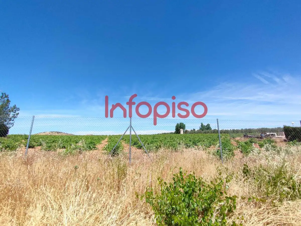 Lands and plots for sale in Valdepeñas, imagen 7