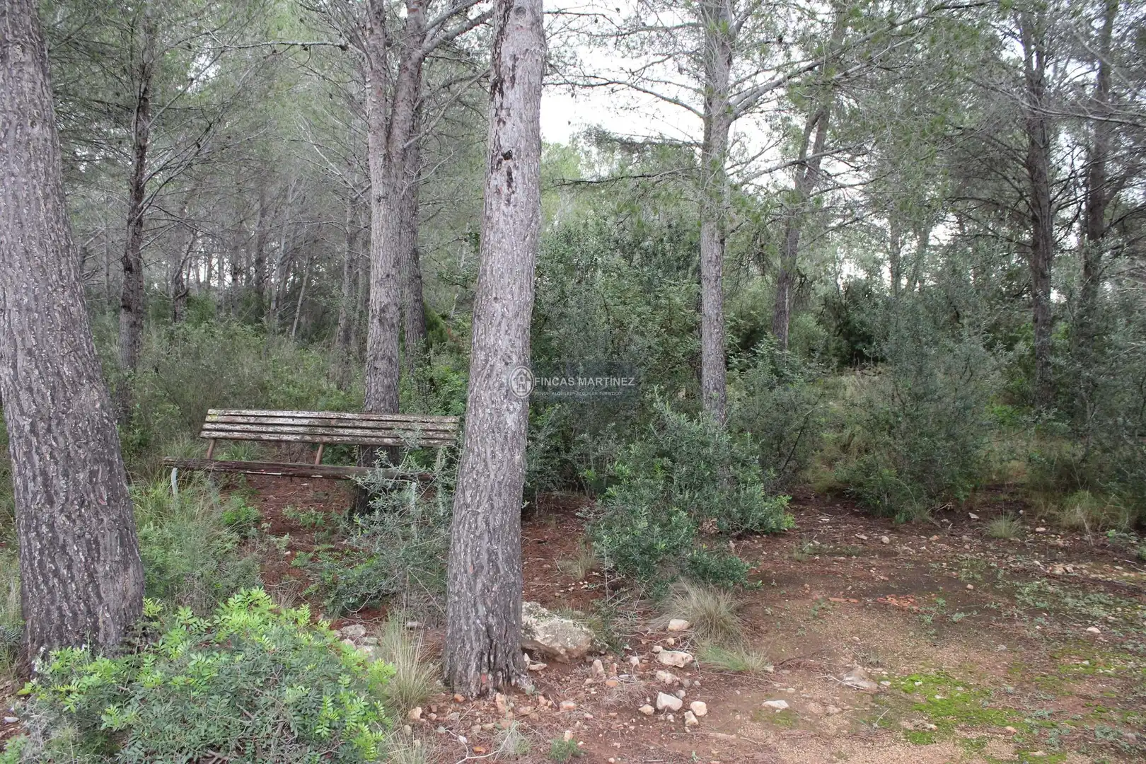 Terrenys i solars en venda a partida torres novas  lindante con el barranco porquerola y a poniente con el termino de pradit  es la parcela  del poligono, imagen 5
