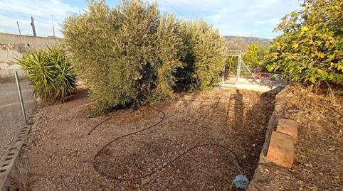 Photo 3 of House or chalet for sale in N/a, La Romana, Alicante