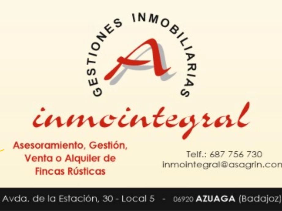 Exterior view of Land for sale in Azuaga