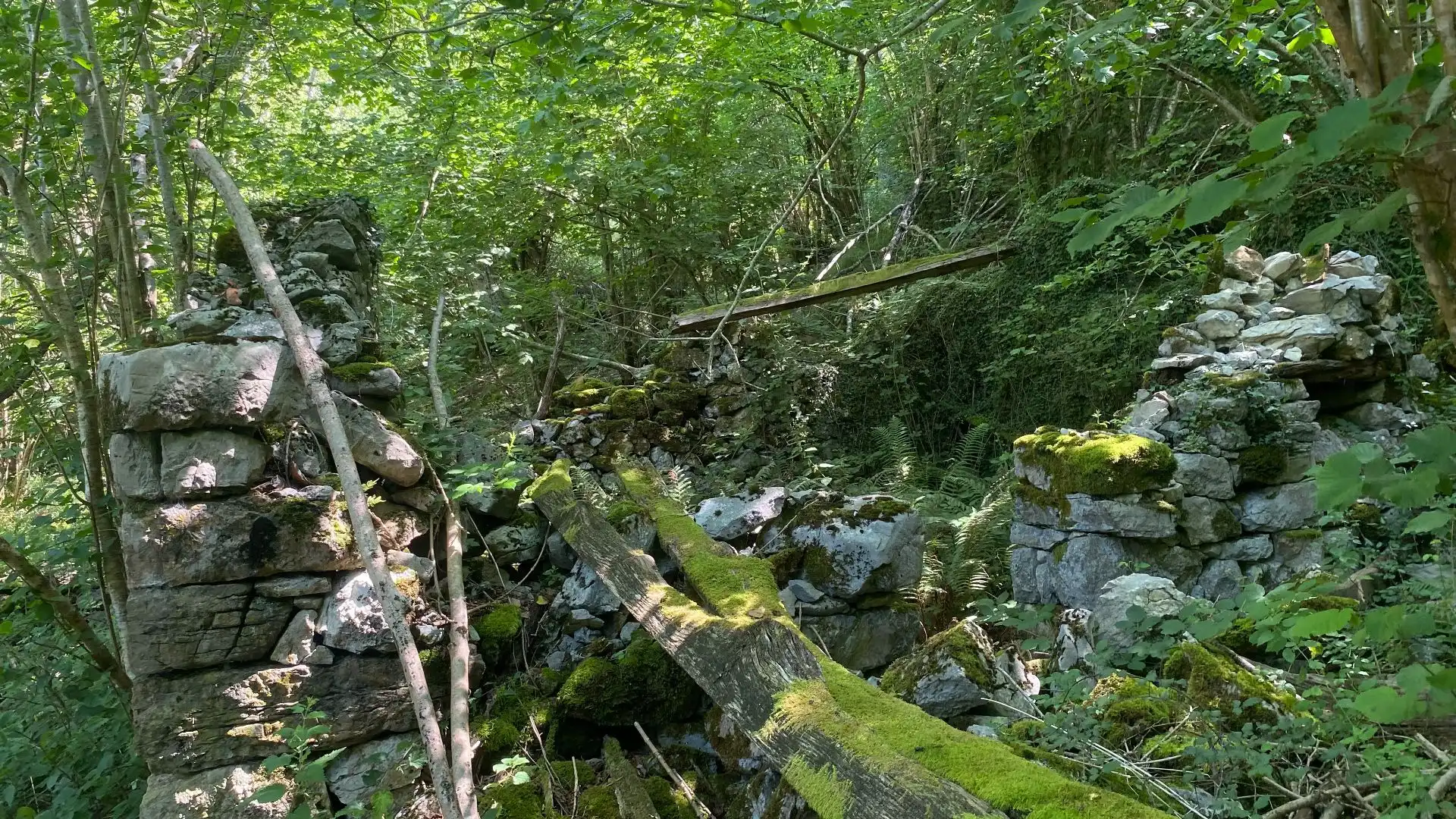 Terreno rustico in vendita a SEGÜENCO, imagen 30
