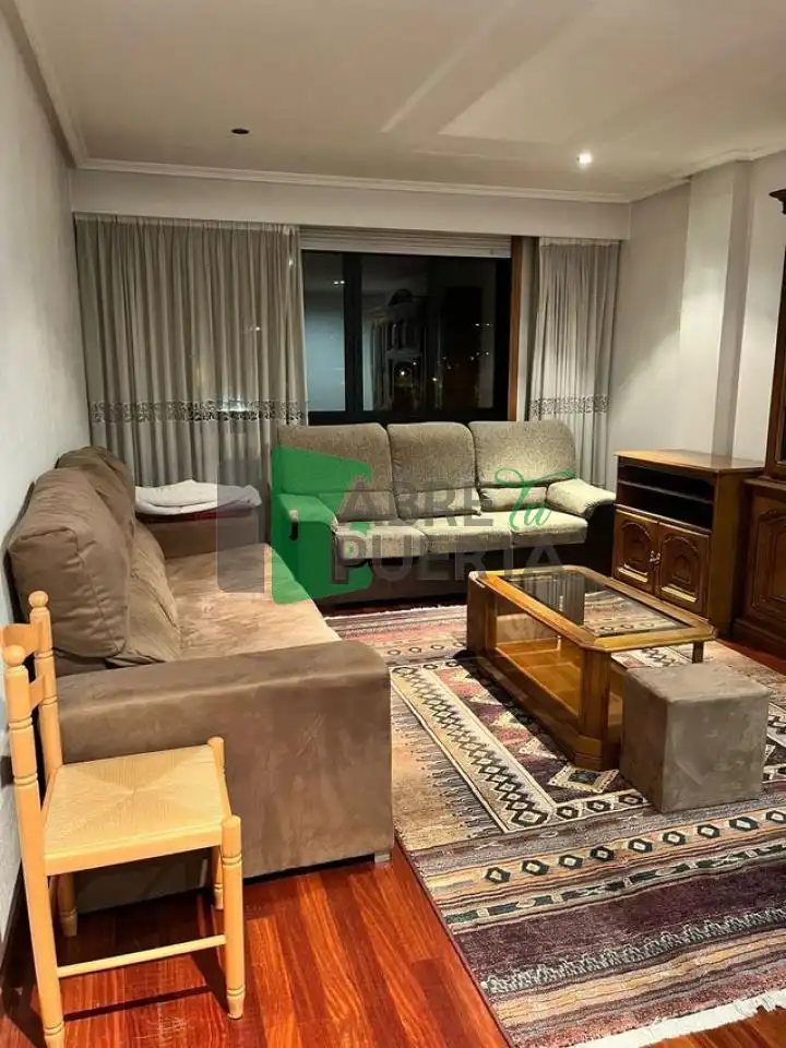 Sala d'estar de Pis de lloguer en Ourense Capital  amb Calefacció, Parquet i Moblat