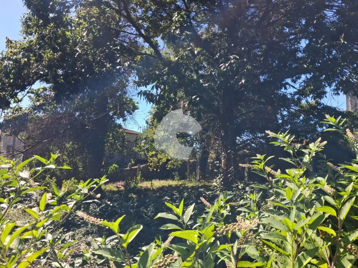 Casa amb jardí en venda a Entrimo, imagen 19