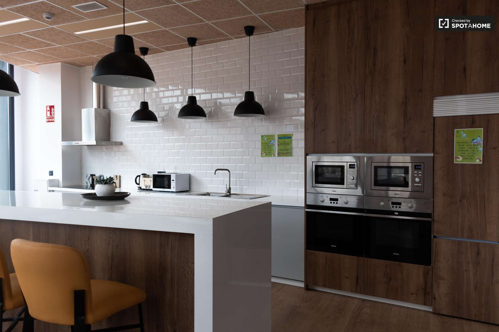 Flat to share in Angustias - Chana - Encina