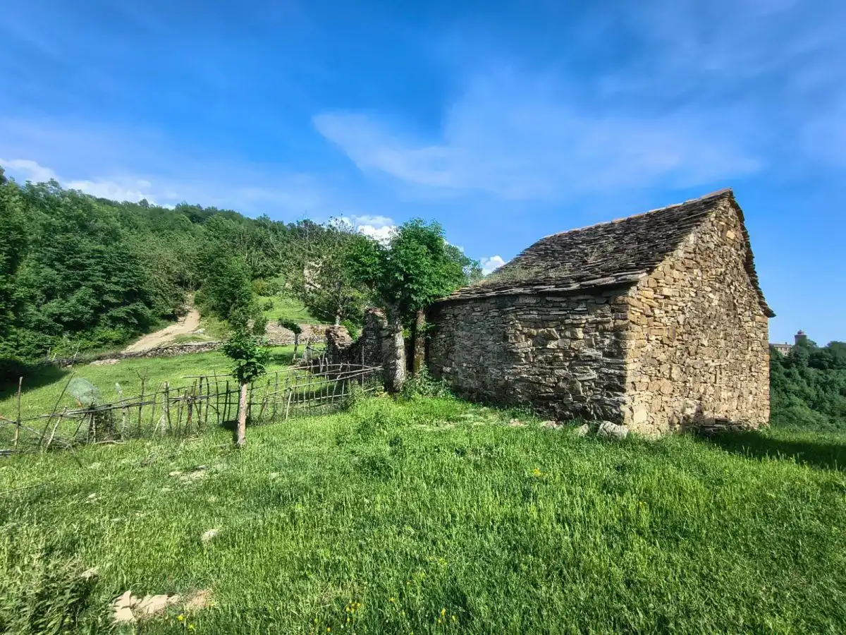 Vista exterior de Finca rústica en venta en Puértolas