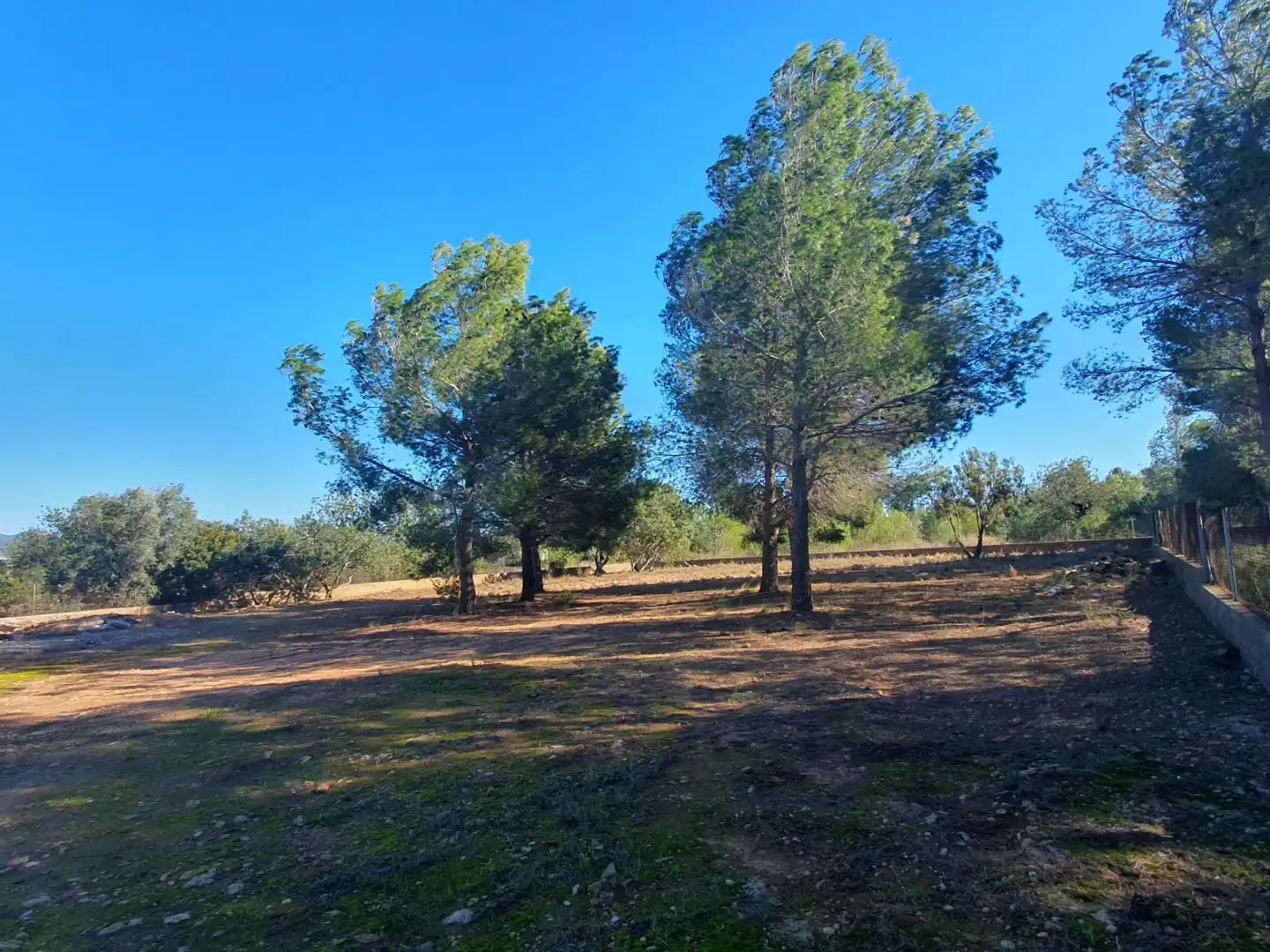 Wohnbaugrundstück zum Verkauf in Pla dels Aljubs
