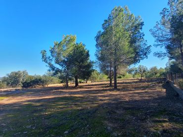Terreny residencial en venda a Pla dels Aljubs
