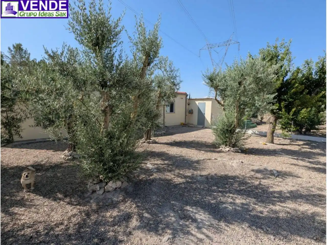 Vista exterior de Finca rústica en venta en Sax con Aire acondicionado, Jardín privado y Piscina