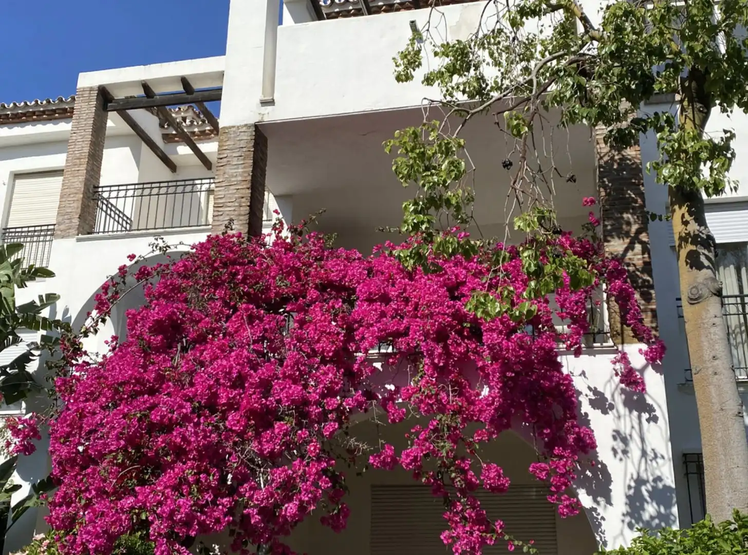 Vista exterior de Piso de alquiler en Estepona con Aire acondicionado, Terraza y Amueblado
