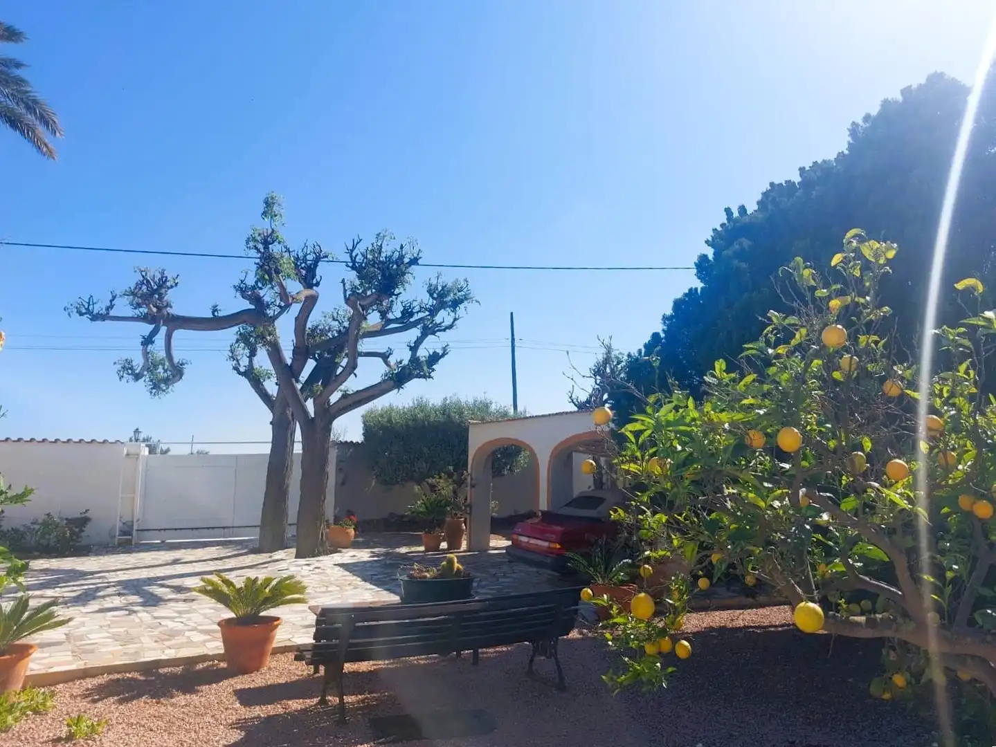Jardín de Finca rústica en venta en Elche / Elx con Calefacción, Jardín privado y Terraza
