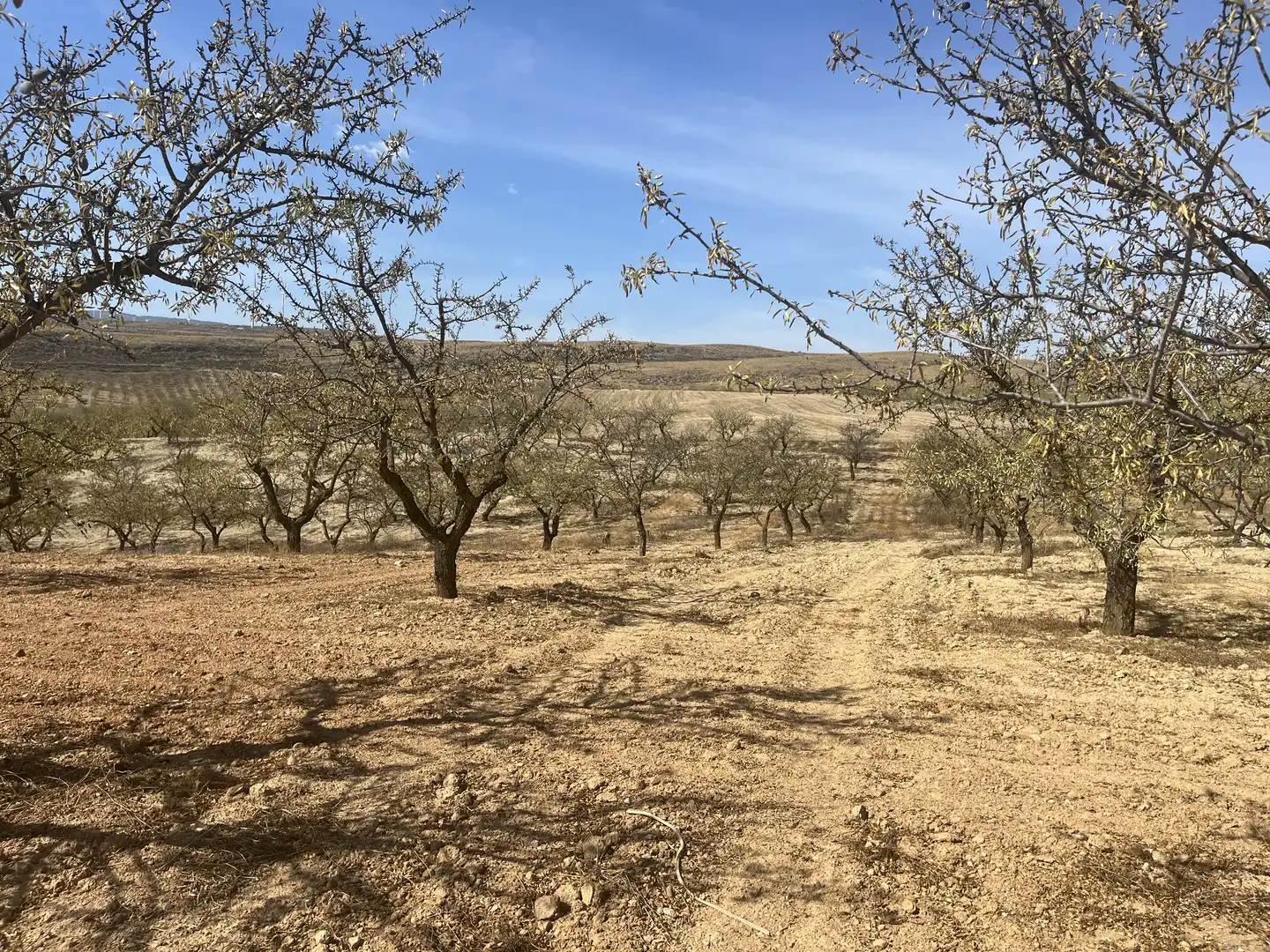 Rustikales Grundstück zum Verkauf in Avenida de Andalucía, imagen 7