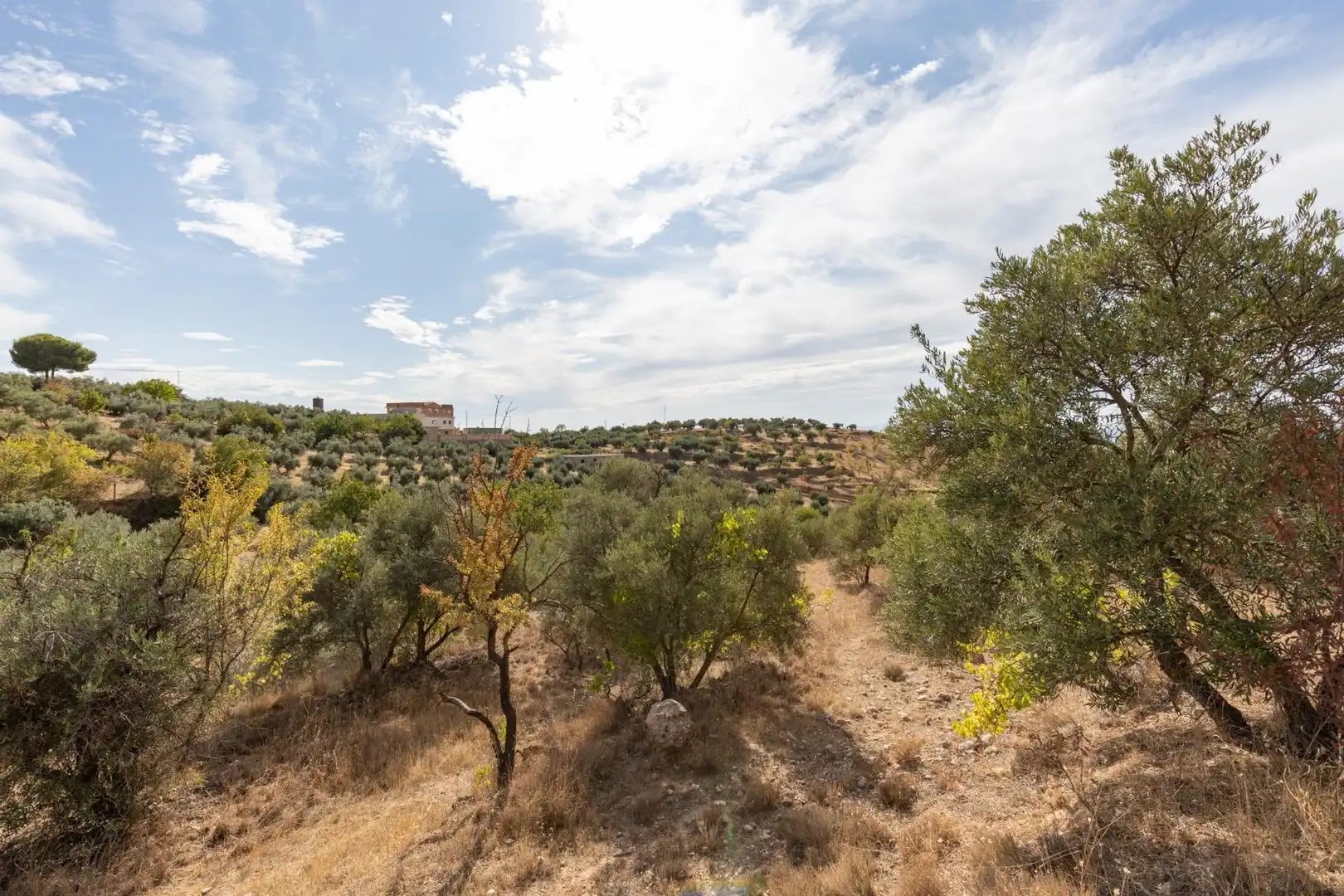 Finca rústica en venta en Cogollos de la Vega con Jardín privado y Piscina