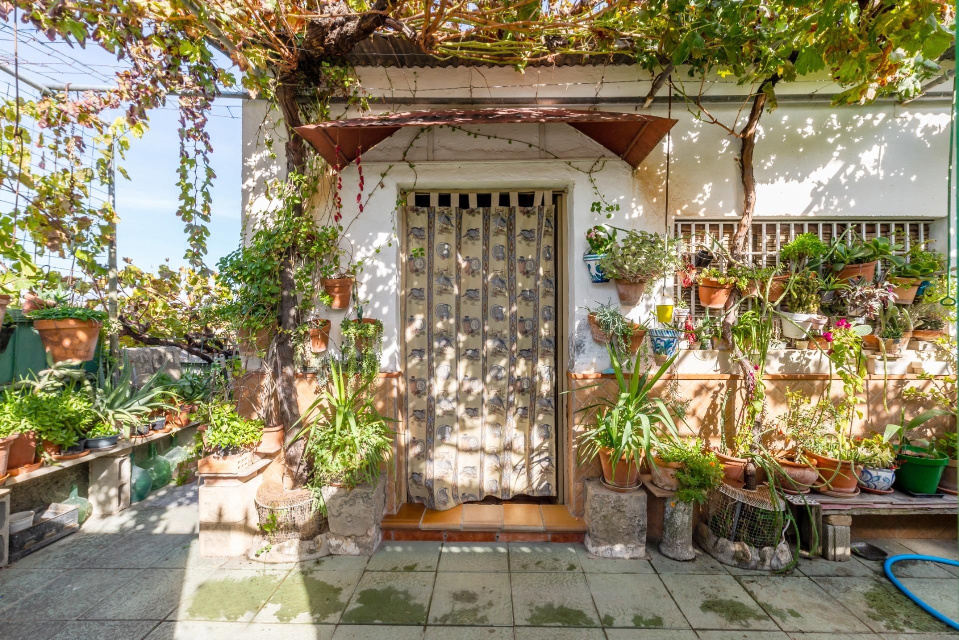 Jardí de Finca rústica en venda en Fuente Vaqueros amb Jardí privat