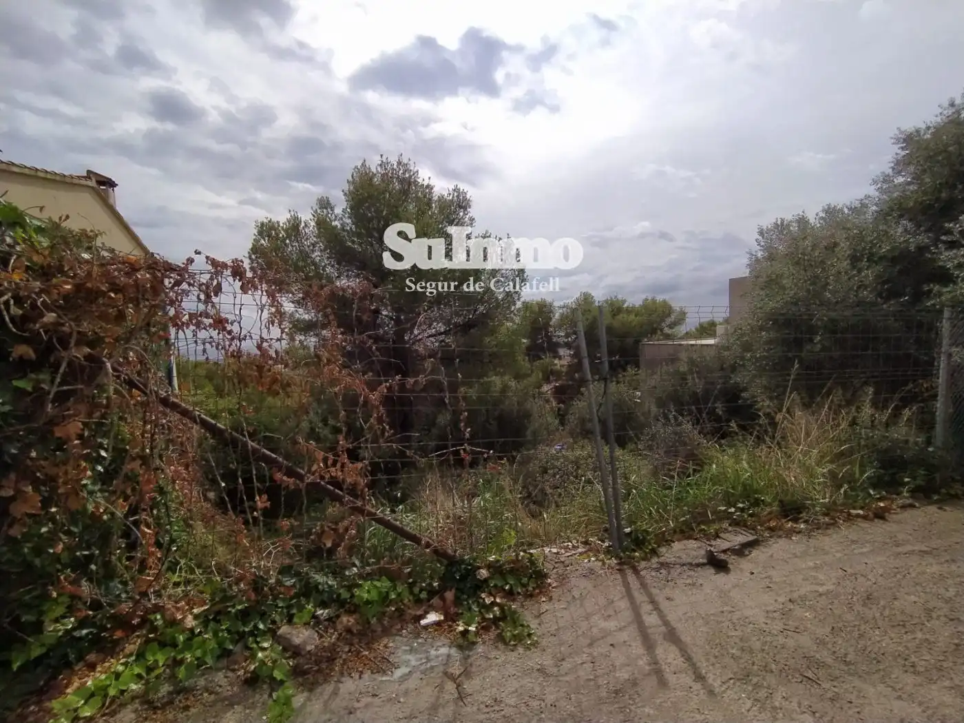 Terreno rustico in vendita a ANTILLES, imagen 3