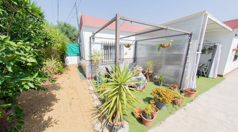 Foto 5 de Finca rústica en venta en Camino Camino Feli, Purias, Lorca