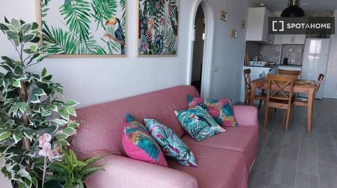 Foto 4 de Apartament per a compartir a Port d'Alcúdia - Platja d'Alcúdia, Alcúdia