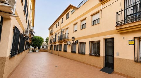 Foto 3 de Piso de alquiler en Cijuela, Granada