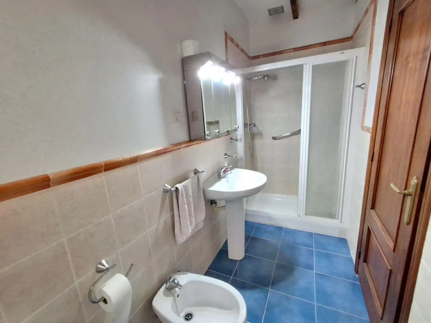 Baño de Casa o chalet en venta en Algemesí con Balcón