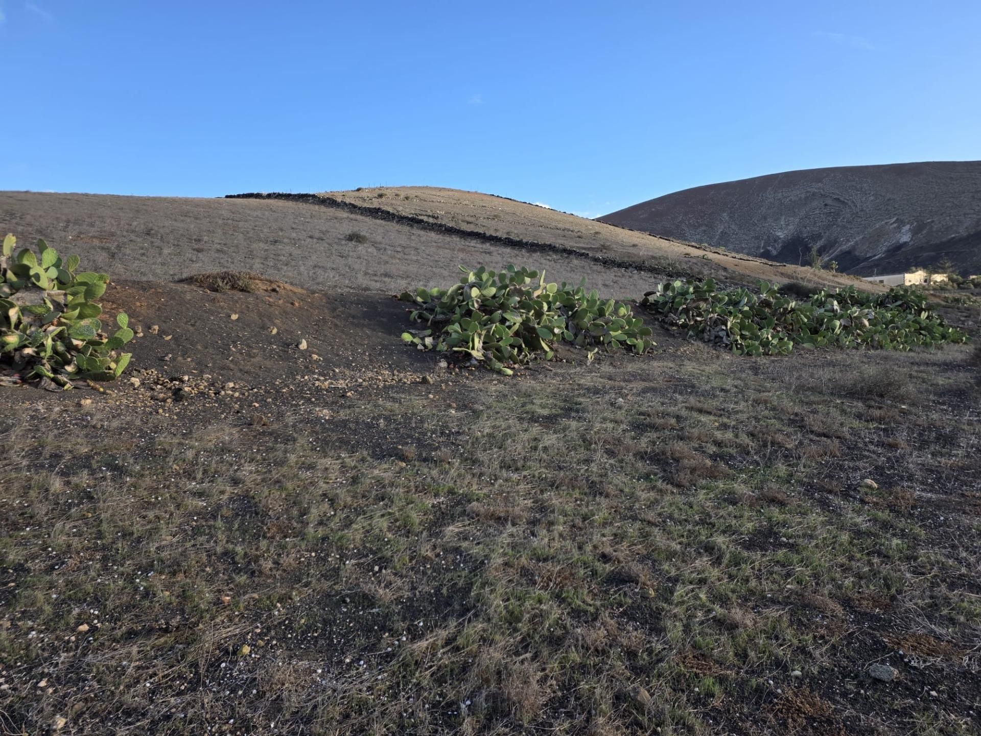 Casa o xalet en venda en San Bartolomé amb Jardí privat, Terrassa i Traster
