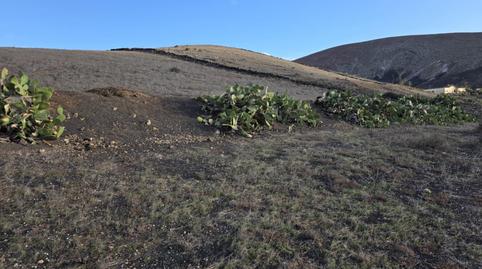 Foto 3 de Casa o xalet en venda a San Bartolomé pueblo, Las Palmas