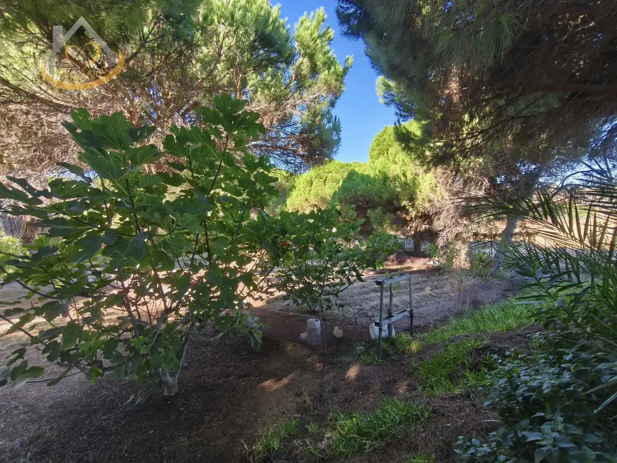 Garten von Grundstücke zum Verkauf in Isla Cristina