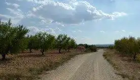 Rustikales Grundstück zum Verkauf in Requena, imagen 4