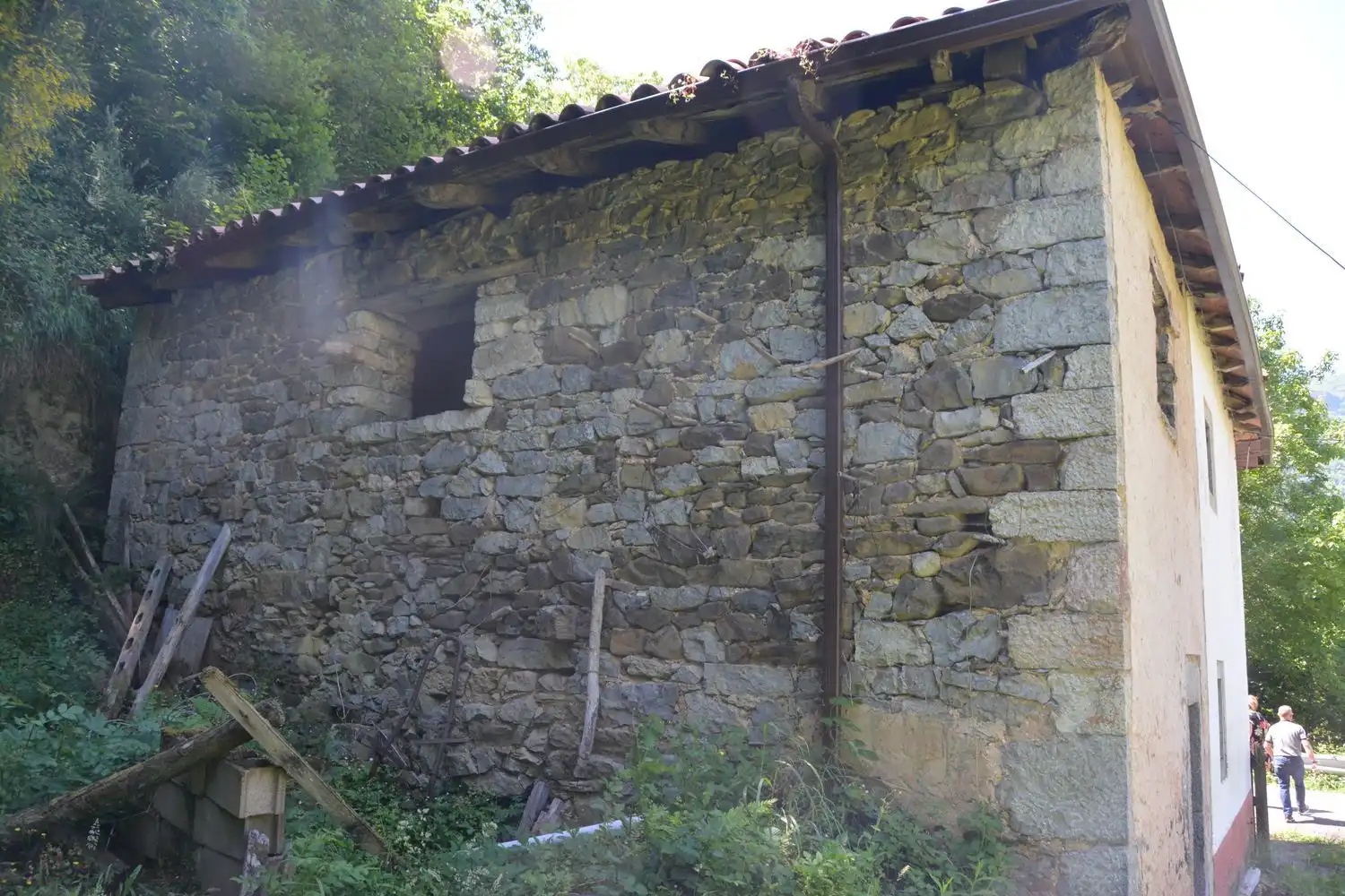 Houses for sale in Oseja de Sajambre
