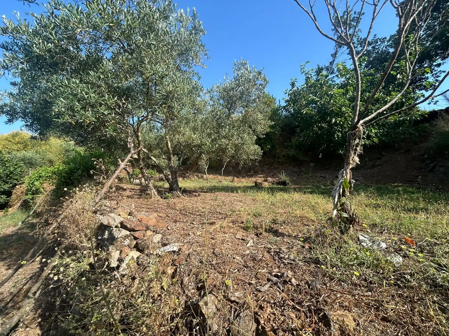 Rural land for sale in Torre de Don Miguel, imagen 12