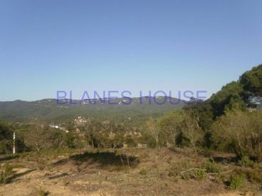 Terreny residencial en venda a Calle de l´arboç