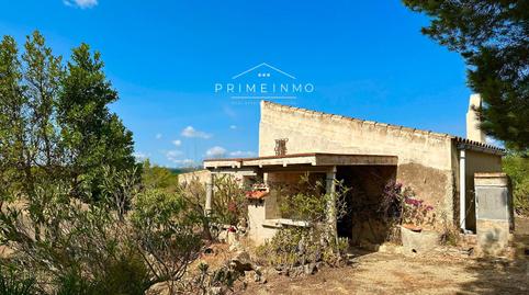 Foto 2 de Finca rústica en venta en El Perelló, Tarragona