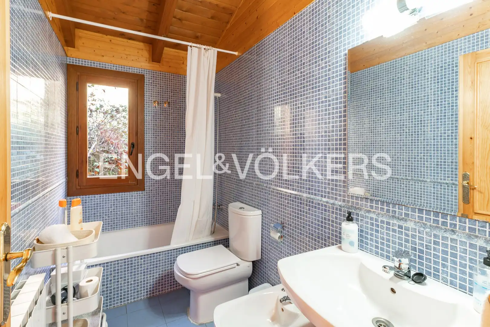 Casa o chalet en venta en Camprodon