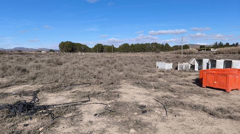HellínFinca Rustica