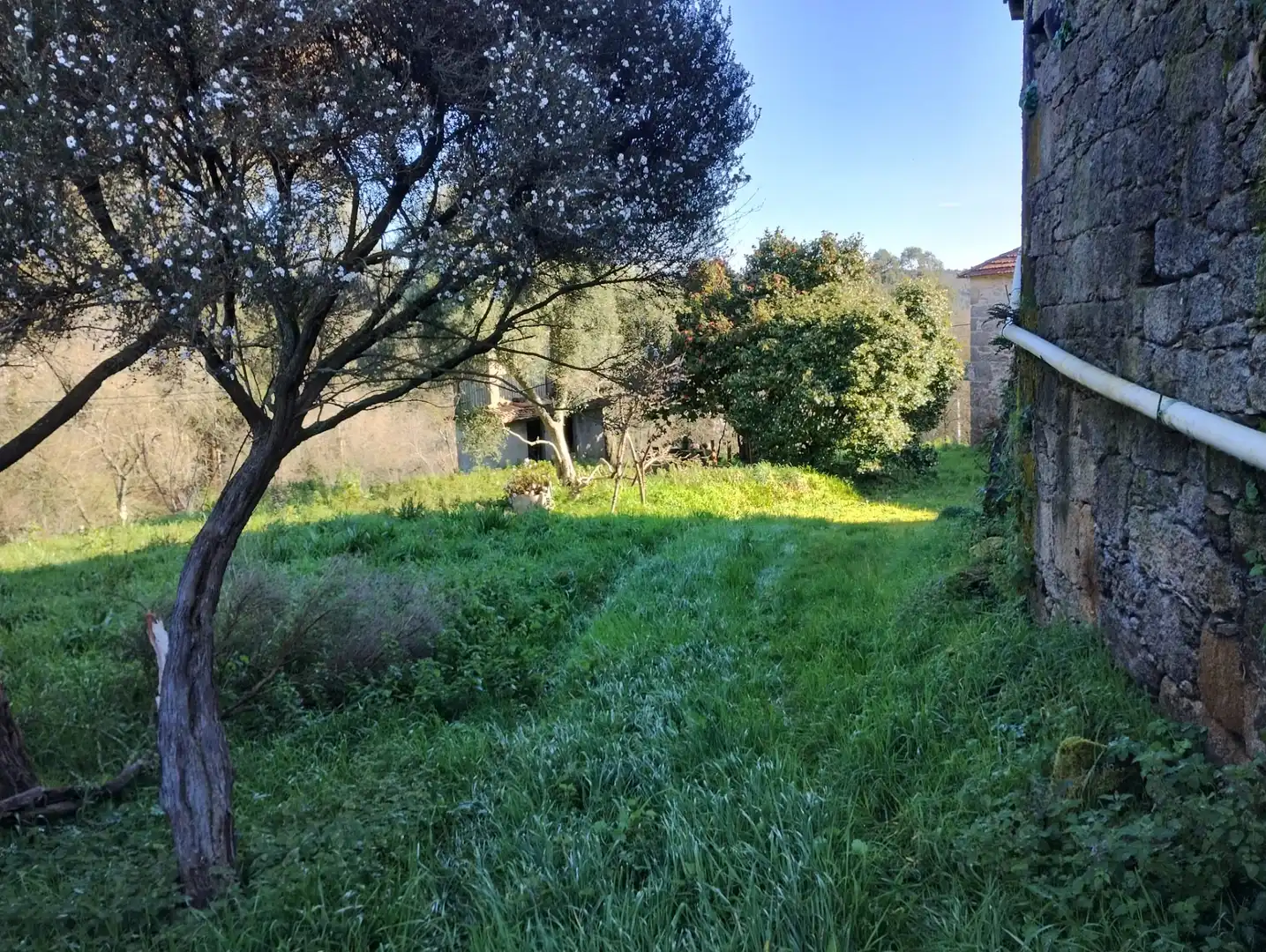 Maison avec jardin à vendre à Vilarmaior, imagen 9