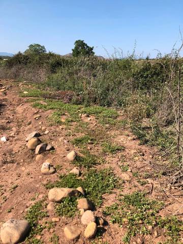 Terreno en Venta en Entrena