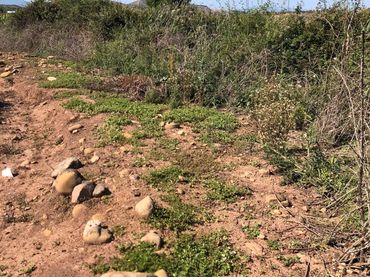 Terreno rustico in vendita a Entrena