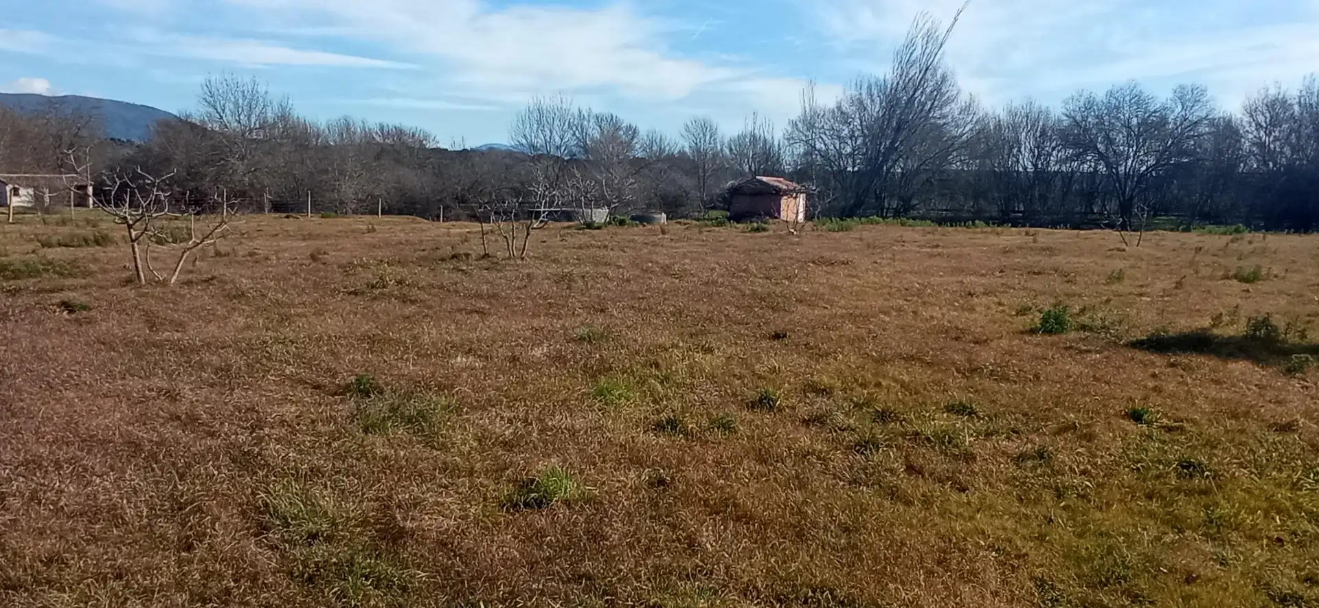 Terreno rustico in vendita a Candeleda, imagen 2