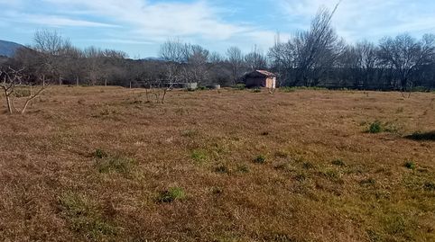 FINCA CON POZO Y CONSTRUCCION, immagine 2