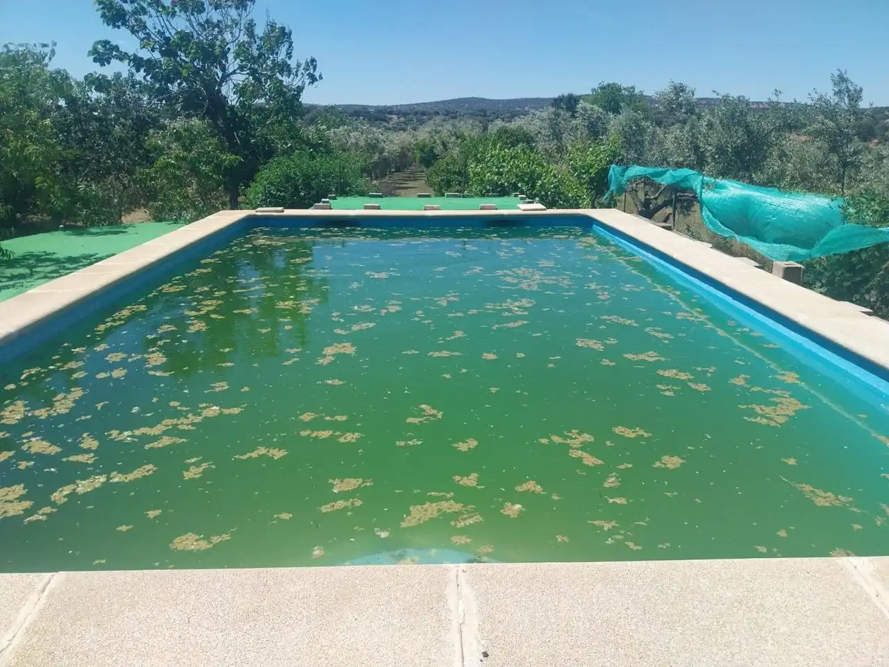 Schwimmbecken von Grundstücke zum Verkauf in Hinojosa del Duque
