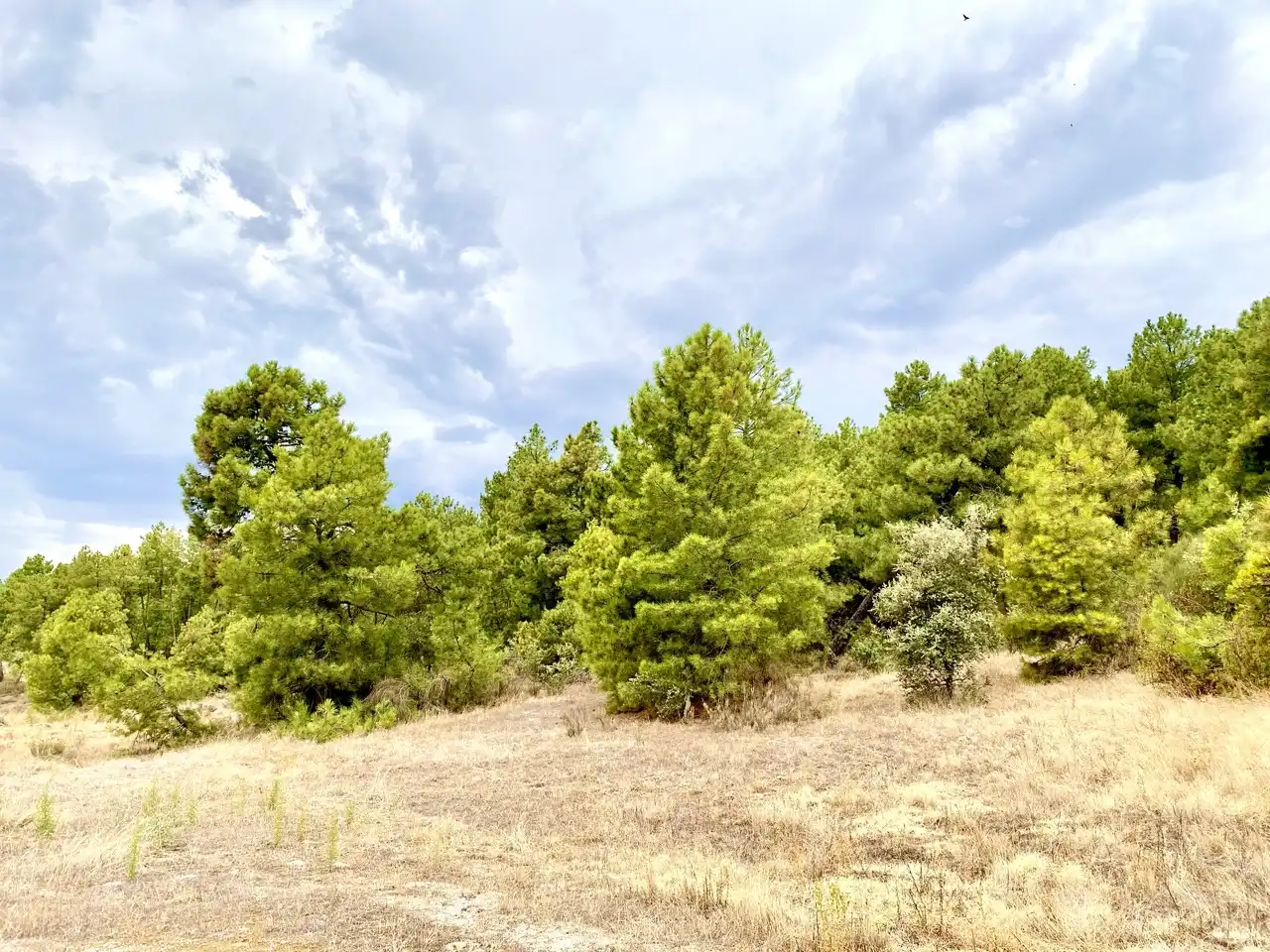 Finca rústica en venta en Villanueva de la Vera con Calefacción, Jardín privado y Parquet