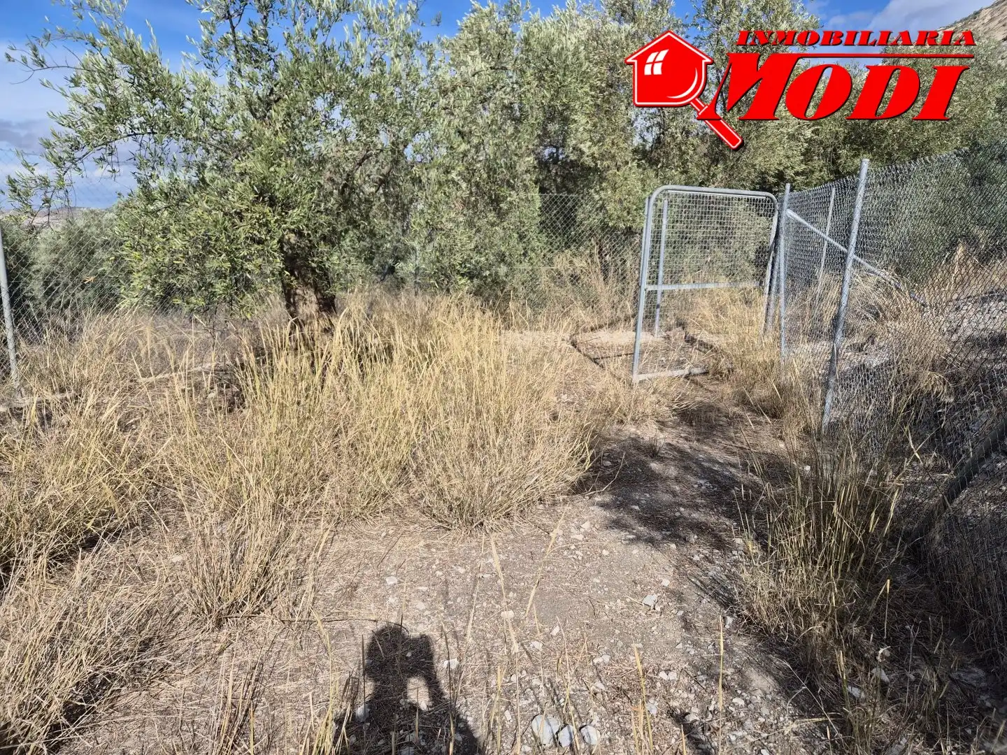 Lands and plots for sale in Dúrcal, imagen 5