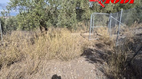 Oportunidad Única en Dúrcal! Finca Rústica con Encanto y Potencial Agrícola.Descubra esta magnífica finca rústica en el corazón de, immagine 5
