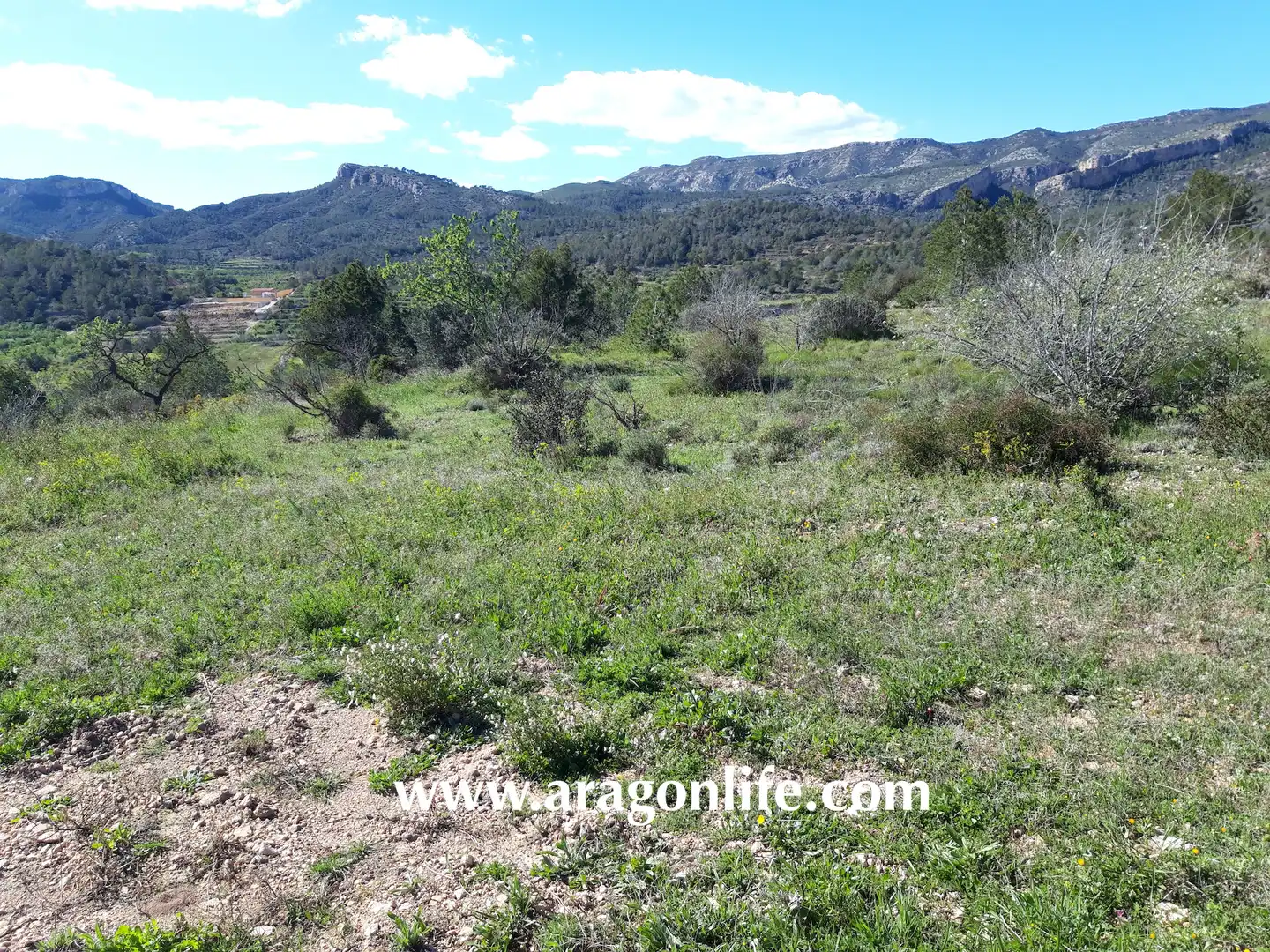 Rural land for sale in C-43, imagen 10