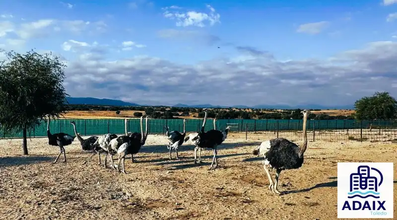 Vista exterior de Finca rústica en venda en Pulgar amb Calefacció i Terrassa