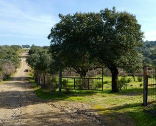 Exterior view of Land for sale in Santa Cruz de Paniagua